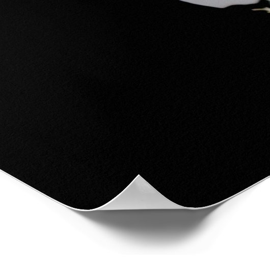 Witte rozenbloesem op zwarte achtergrond poster (Hoek)