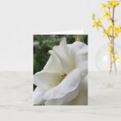 Witte rozenblokkaart kaart (Gele Bloem)