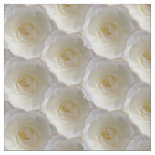 Witte rozenkatoenen of poly roos stof (Close Up)