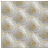 Witte rozenkatoenen of poly roos stof (Close Up)