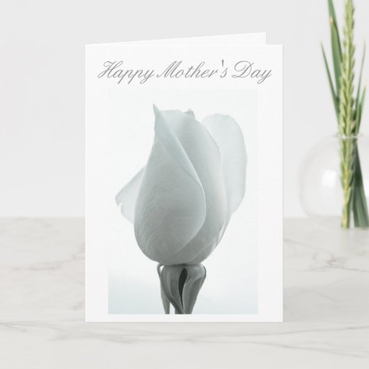 Witte rozenknop ... Moederdag kaart (Voorkant)