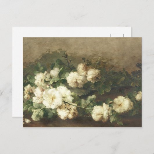  witte rozenolie, schilderd door Margaretha  Briefkaart (Voorkant / Achterkant)