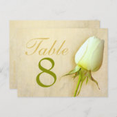 Witte rozenstaafje trouwtafel nummer 1-9 briefkaar briefkaart (Voorkant / Achterkant)