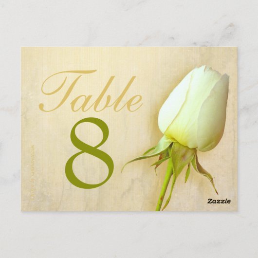 Witte rozenstaafje trouwtafel nummer 1-9 briefkaar briefkaart (Achterkant)