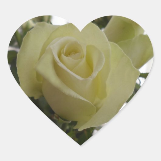 Witte rozenstickers hart sticker (Voorkant)