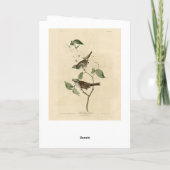 Witte ruggengraat, Amerikaanse vogels van Audubon Kaart (Achterkant)