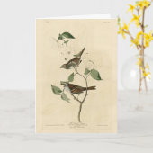 Witte ruggengraat, Amerikaanse vogels van Audubon Kaart (Gele Bloem)