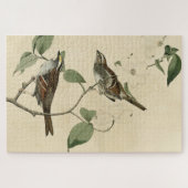 Witte ruggengraat, Amerikaanse vogels van Audubon Legpuzzel (Horizontaal)