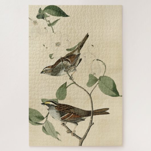 Witte ruggengraat, Amerikaanse vogels van Audubon Legpuzzel (Verticaal)