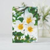 Witte rustieke lelies - Lilium candidum  Bedankkaart (Staand voorkant)