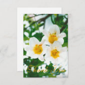 Witte rustieke lelies - Lilium candidum  Bedankkaart (Voorkant / Achterkant)