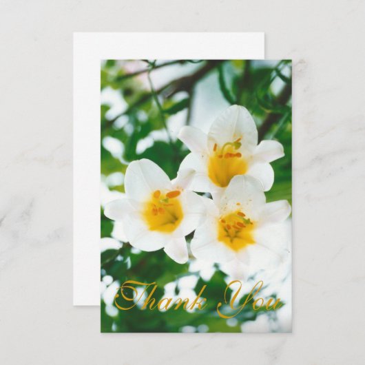Witte rustieke lelies - Lilium candidum  Bedankkaart (Voorkant / Achterkant)