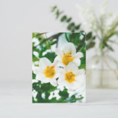 Witte rustieke lelies - Lilium candidum Briefkaart (Staand voorkant)