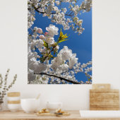 Witte Sakura H.G. Poster (Keuken)