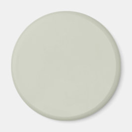 Witte Salie Effen Kleur Magneet