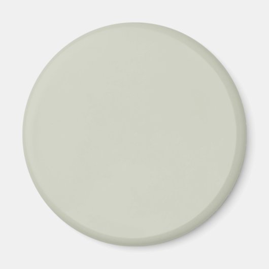 Witte Salie Effen Kleur Magneet (Voorkant)