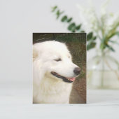  witte Samoyed Dog Briefkaart (Staand voorkant)