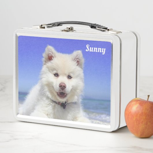 Witte Samoyed Dog op Light Blue (In situ)