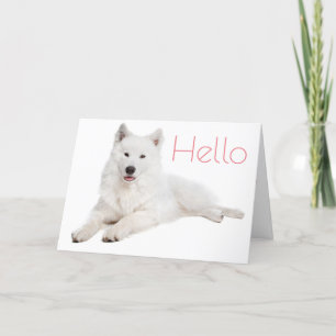 Witte Samoyed Puppy Dog - Hallo, denken aan u Kaart