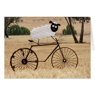 Witte schapen