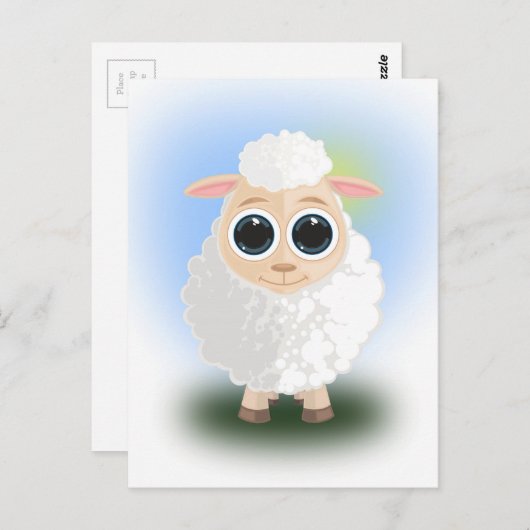 Witte schapen briefkaart (Voorkant / Achterkant)