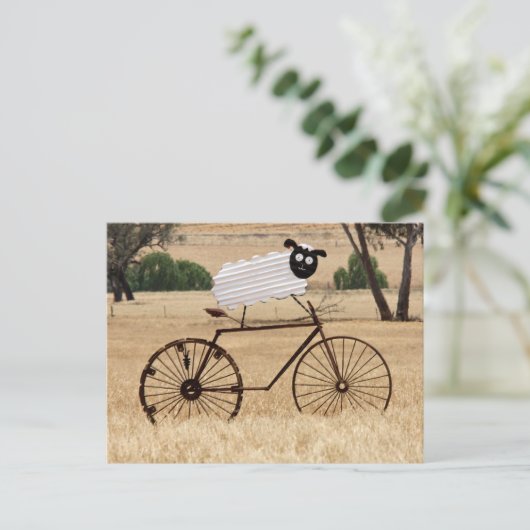 Witte schapen briefkaart (Staand voorkant)