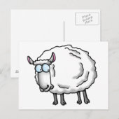 Witte schapen briefkaart (Voorkant / Achterkant)