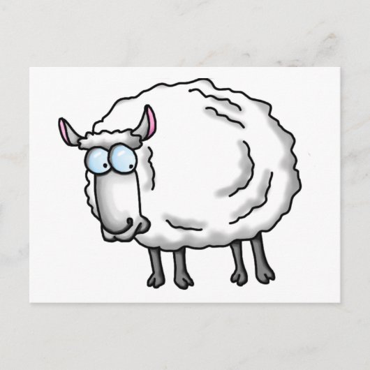 Witte schapen briefkaart (Voorkant)