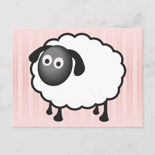 Witte schapen briefkaart (Voorkant)