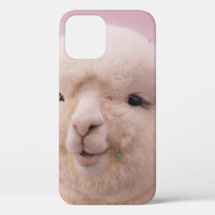WITTE SCHAPEN IN DICHTE FOTOGRAFIE Case-Mate iPhone CASE