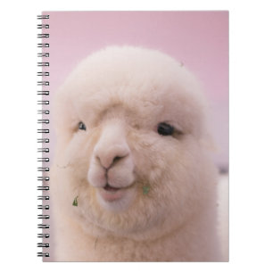 WITTE SCHAPEN IN DICHTE FOTOGRAFIE NOTITIEBOEK