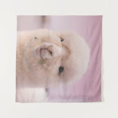 WITTE SCHAPEN IN DICHTE FOTOGRAFIE WANDKLEED (Voorkant (horizontaal))