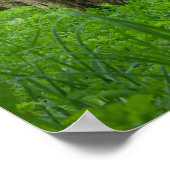 Witte schapen in een weide onder de berg poster (Hoek)