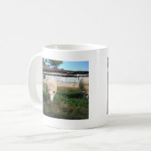 Witte schapen op het Boerderij Koffiemok (Voorkant links)