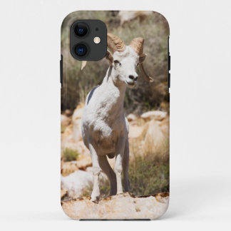Witte schapen van het gezin Case-Mate iPhone case