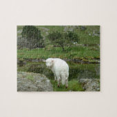 Witte schapen, Wales & British Countryside Legpuzzel (Horizontaal)