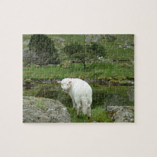 Witte schapen, Wales & British Countryside Legpuzzel