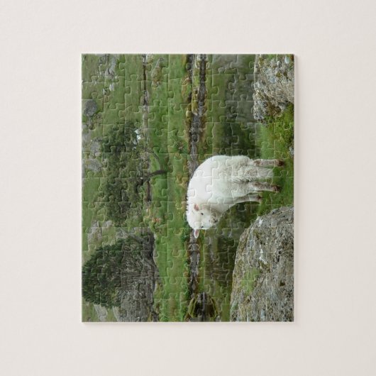 Witte schapen, Wales & British Countryside Legpuzzel (Verticaal)