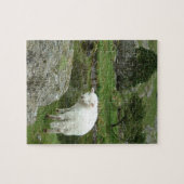 Witte schapen, Wales & British Hilwalk Legpuzzel (Horizontaal)