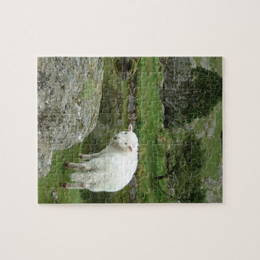 Witte schapen, Wales & British Hilwalk Legpuzzel (Horizontaal)