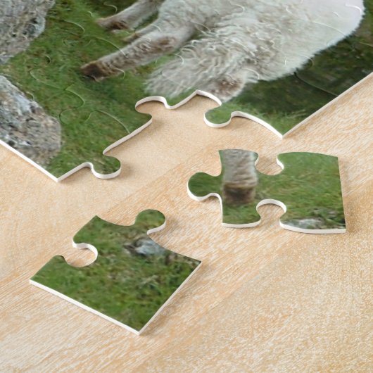 Witte schapen, Wales & British Hilwalk Legpuzzel (Zijkant)