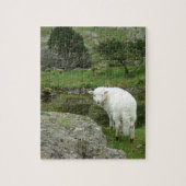 Witte schapen, Wales & British Hilwalk Legpuzzel (Verticaal)