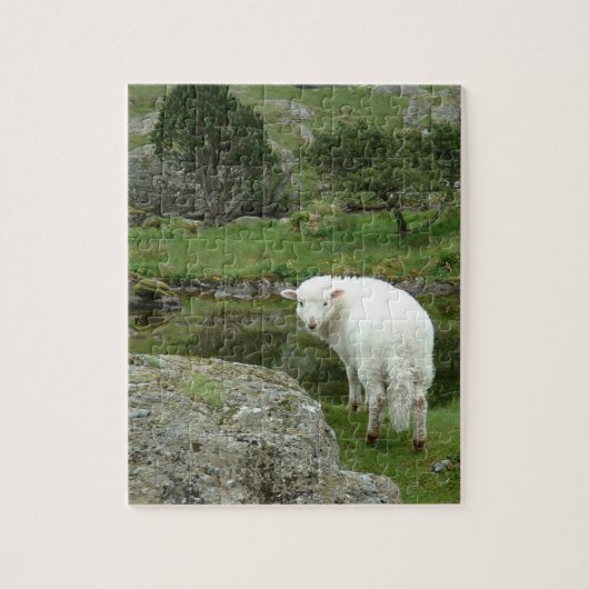 Witte schapen, Wales & British Hilwalk Legpuzzel (Verticaal)