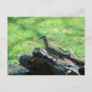 Witte scharnieren briefkaart