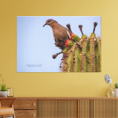 Witte scharnieren met Saguaro Cactus Fruit 60x40 Canvas Afdruk (Insitu (Woonkamer))