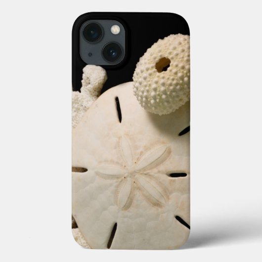 Witte schelpen en sand dollar Case-Mate iPhone case (Achterkant)