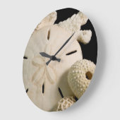 Witte schelpen en sand dollar grote klok (Hoek)