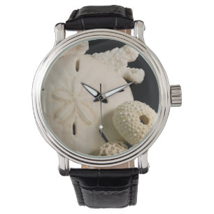 Witte schelpen en sand dollar horloge