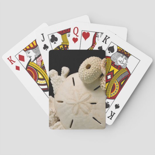 Witte schelpen en sand dollar pokerkaarten (Achterkant)