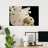 Witte schelpen en zanddollar poster (Thuiskantoor)